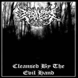 Nokturnal Forest : Cleansed by the Evil Hand